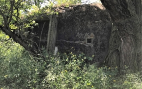 dyjakovice-vec-541ol-foto-2