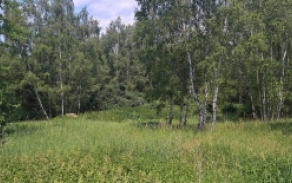 horsovsky-tyn-36pc-foto-2