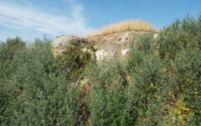 satov-vec-404ol-foto-3