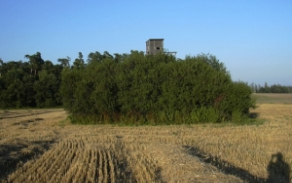 kosetice-ve-slezsku-vec-bc6op-foto-1