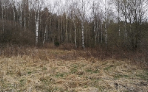 rozmital-pod-tremsinem-pc-640-2-foto-2
