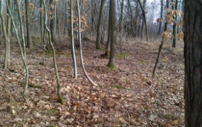 praslavice-u-olomouce-pc-1240-69-70-foto-3