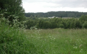 vilanec-popice-u-jihlavy-tankova-strelnice-foto-6