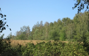 pistov-u-jihlavy-pc-485-12-13-44-foto-1