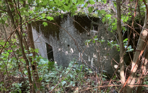 sec-u-jesenika-vec-247je-foto-1