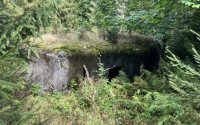 sec-u-jesenika-vec-256je-foto-1