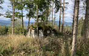 sec-u-jesenika-vec-253je-foto-1