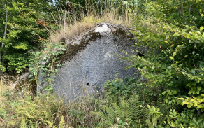 sec-u-jesenika-vec-254je-foto-1