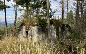sec-u-jesenika-vec-253je-foto-2