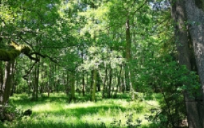 skalka-u-hazlova-pc-210-4-foto-1
