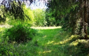 skalka-u-hazlova-pc-210-7-foto-1