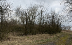 chastany-u-tyna-nad-vltavou-pc-971-10-4475-3-foto-1