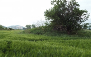 mikulov-na-morave-vec-711ol-foto-1