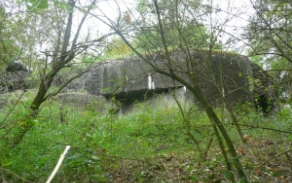 dolni-benesov-vec-222-foto-1