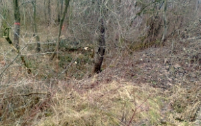 sedlnice-pc-1595-foto-1