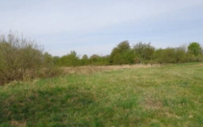skvorec-pc-2020-foto-1
