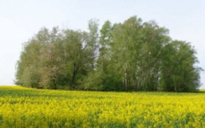 skvorec-pc-2022-foto-1
