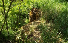 dyjakovice-vec-536ol-foto-1