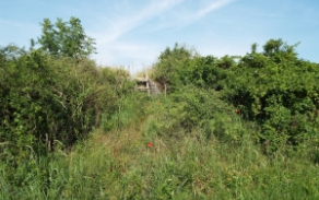 mikulov-na-morave-vec-734ol-foto-1