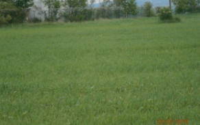 janovice-nad-uhlavou-pc-2423-2432-2784-foto-1