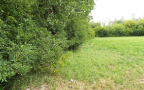 straky-pc-1529-2-foto-1
