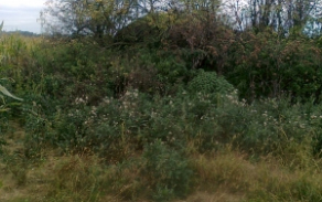 dolni-lutyne-vec-845ka-foto-2