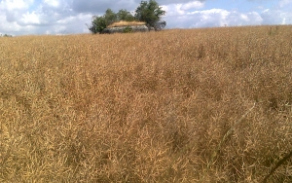 milostovice-vec-r51op-foto-2