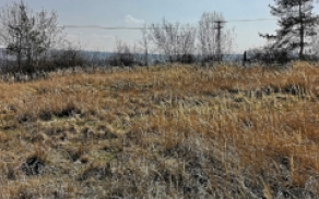 tymakov-pc-1629-foto-2