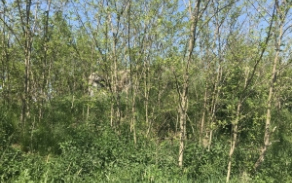 dyjakovice-vec-551ol-foto-2