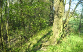 lipnik-nad-becvou-pc-2856-4-foto-2