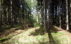 huntirov-pc-1637-2-foto-2