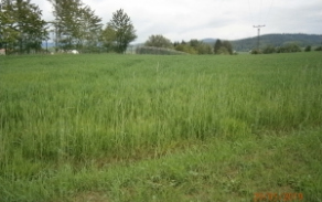 janovice-nad-uhlavou-pc-2423-2432-2784-foto-2