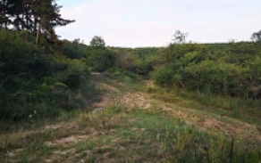 dobrany-pc-2337-2338-2339-2340-2341-2342-foto-2