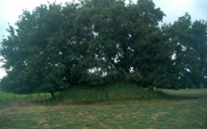 dolni-lutyne-vec-844ka-foto-2