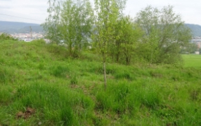 decin-stare-mesto-pc-976-1-foto-2