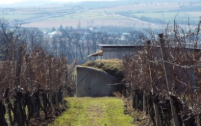 mikulov-na-morave-vec-730ol-foto-2