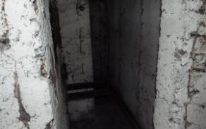 mradice-vec-10074-foto-4