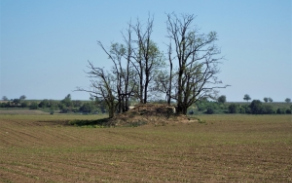 dyjakovice-vec-552ol-foto-3
