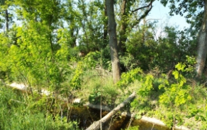 dyjakovice-vec-536ol-foto-3