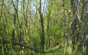 lipnik-nad-becvou-pc-2856-4-foto-3