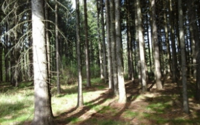 huntirov-pc-1637-2-foto-3
