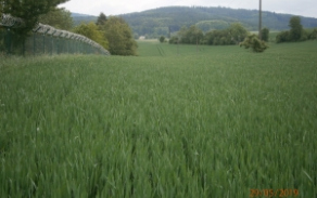 janovice-nad-uhlavou-pc-2423-2432-2784-foto-3