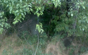 jaktar-vec-47aop-foto-3