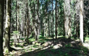 skalka-u-hazlova-pc-210-7-foto-3