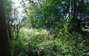 huntirov-pc-481-1-2-foto-3