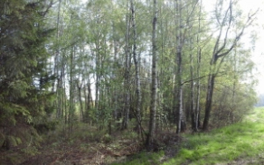 huntirov-pc-494-3-4-foto-4