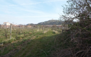 mikulov-na-morave-vec-727ol-foto-3