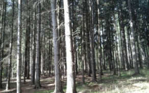 huntirov-pc-1637-2-foto-4