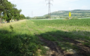 mikulov-na-morave-vec-737ol-foto-2