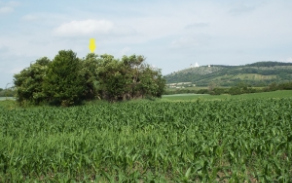 mikulov-na-morave-vec-738ol-foto-2